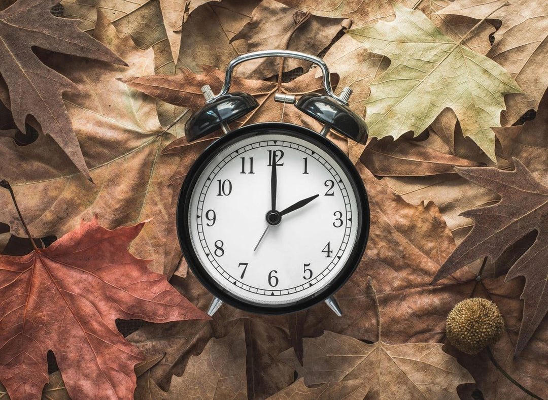 A SHORT HISTORY OF THE CLOCKS GOING BACK