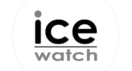 Ice - H S Johnson