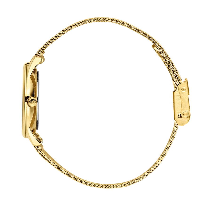 Danish Design IV05Q1063 Møn Gold Watch