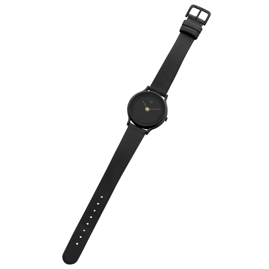 Danish Design 10-A2-04 Sun Black Golden Sun Watch