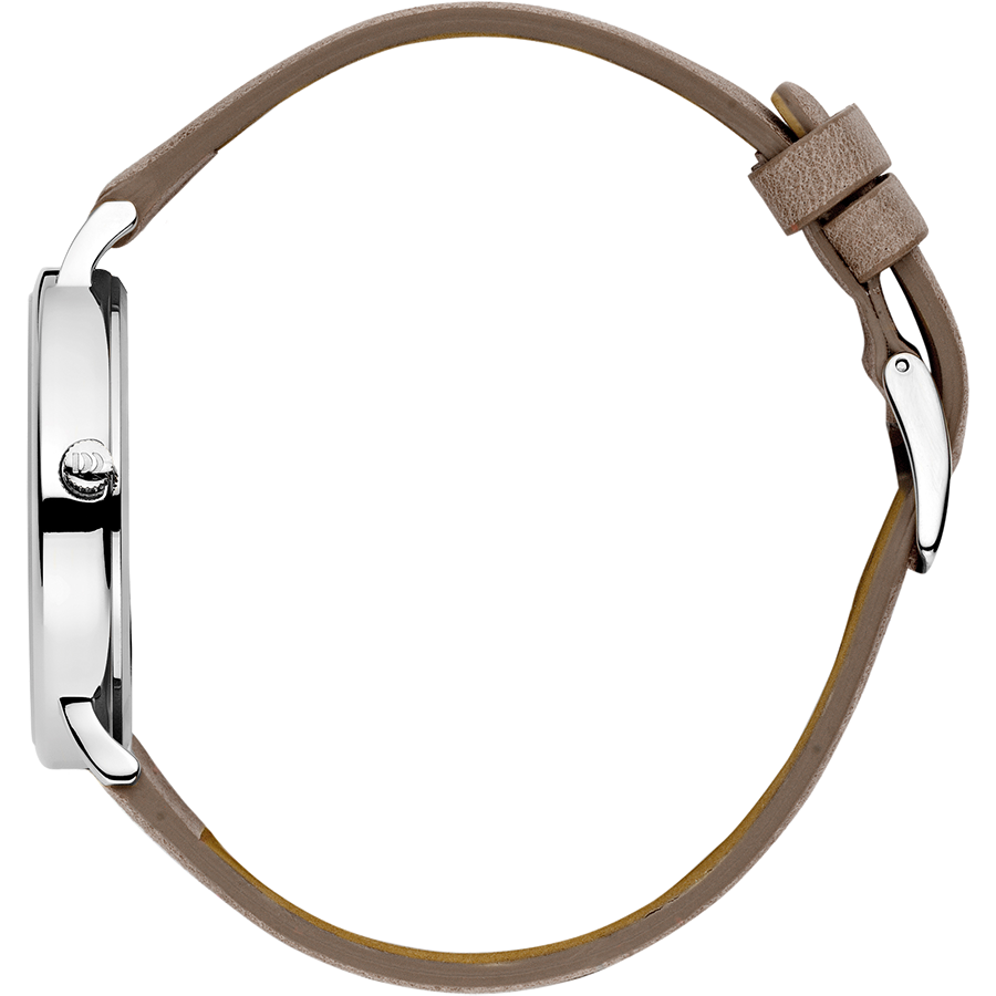 Danish Design IV29Q1173 Sydney Silver Brown Watch