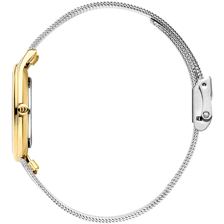 Danish Design IV65Q1194 Funen Two-Tone Watch