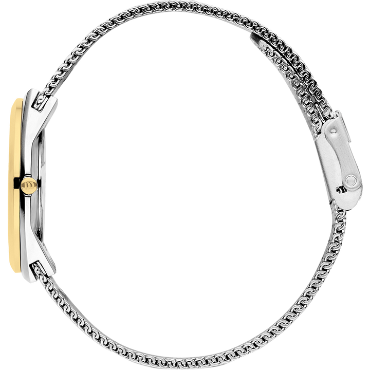 Danish Design IV65Q1236 Tåsinge Two-Tone Small Mesh Watch