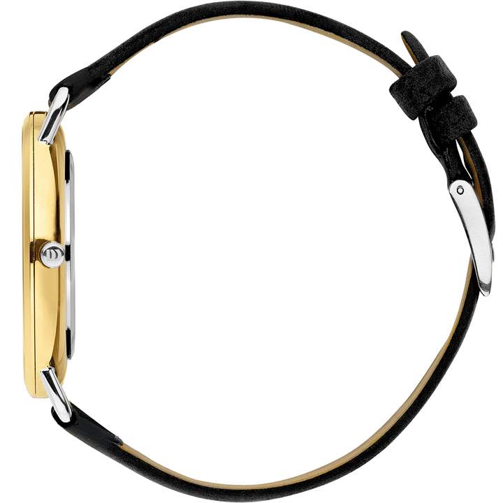 Danish Design IQ11Q1244 Læsø Two-Tone Large Watch