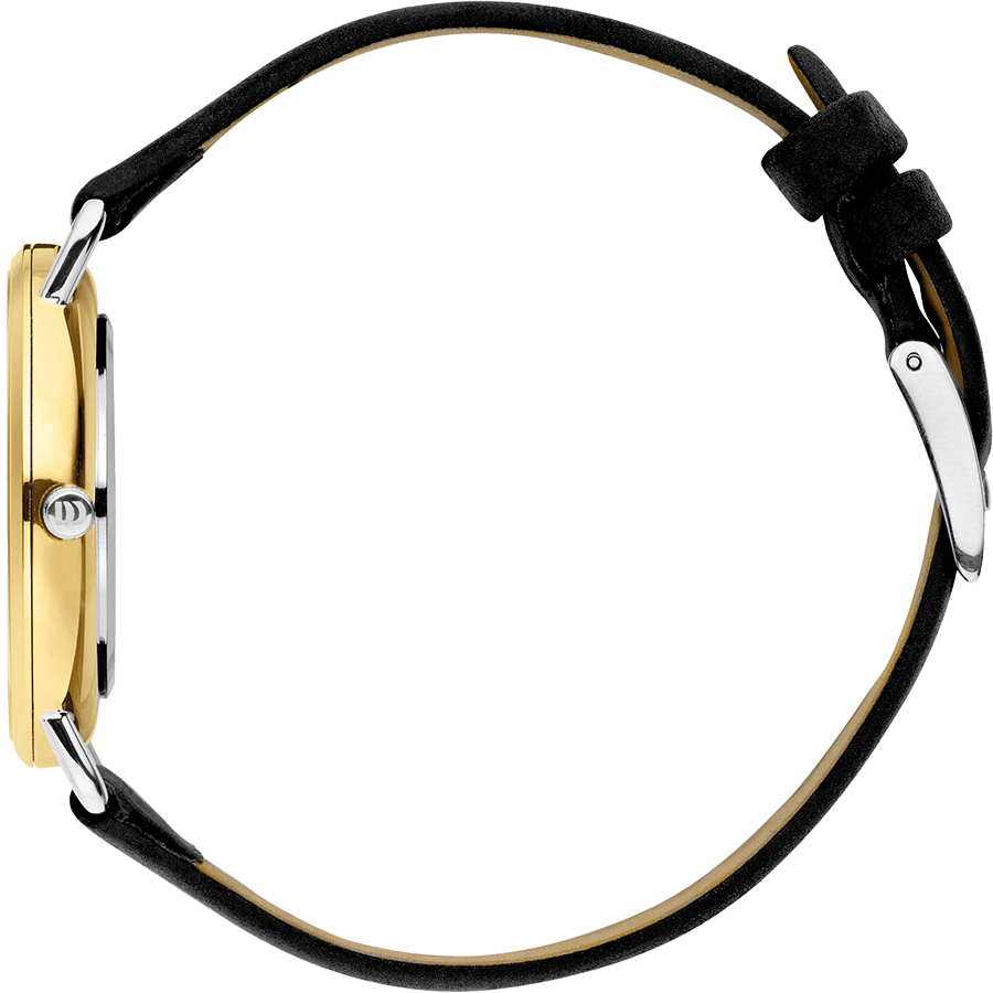 Danish Design IV11Q1244 Læsø Two-Tone Medium Watch