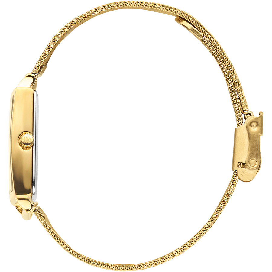 Danish Design IV06Q1248 Miami All Gold Mesh Watch