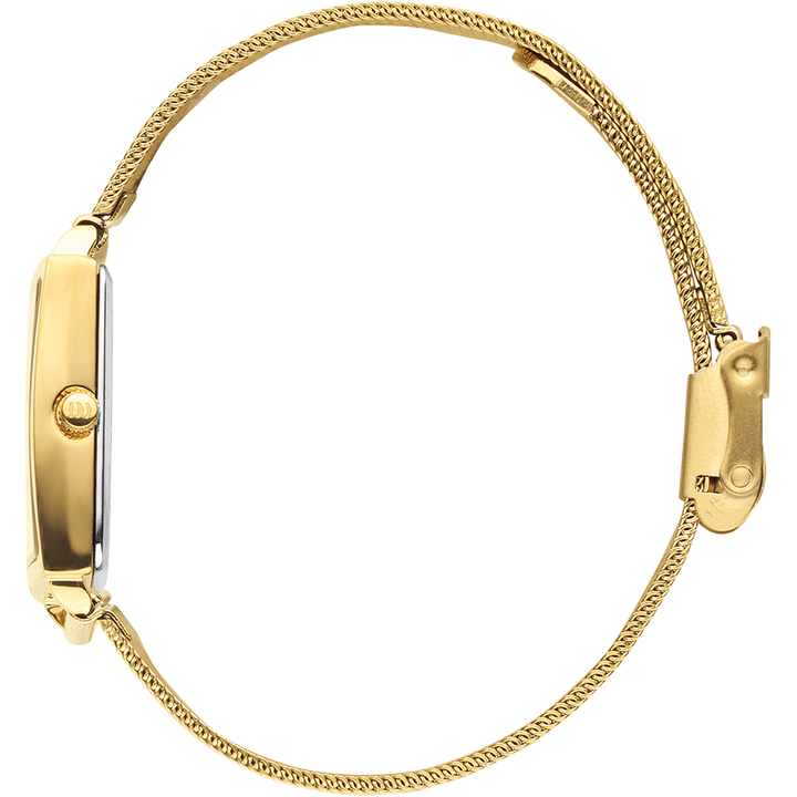 Danish Design IV06Q1248 Miami All Gold Mesh Watch