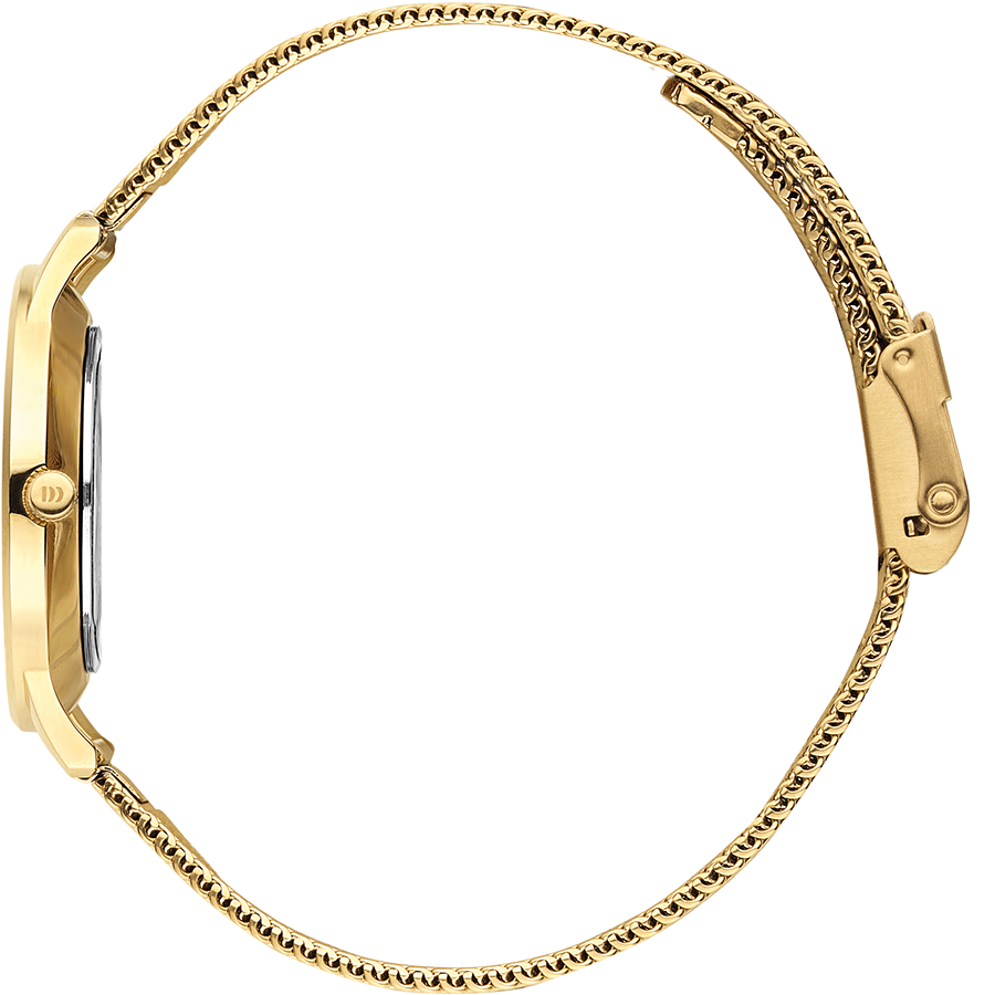 Danish Design IV06Q1249 Vigelsø All Gold Mesh Watch