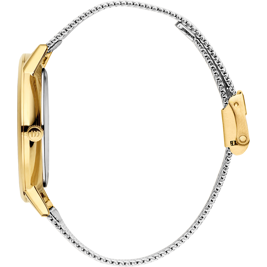 Danish Design IV65Q1251 Akilia Two-Tone Mesh Medium Watch