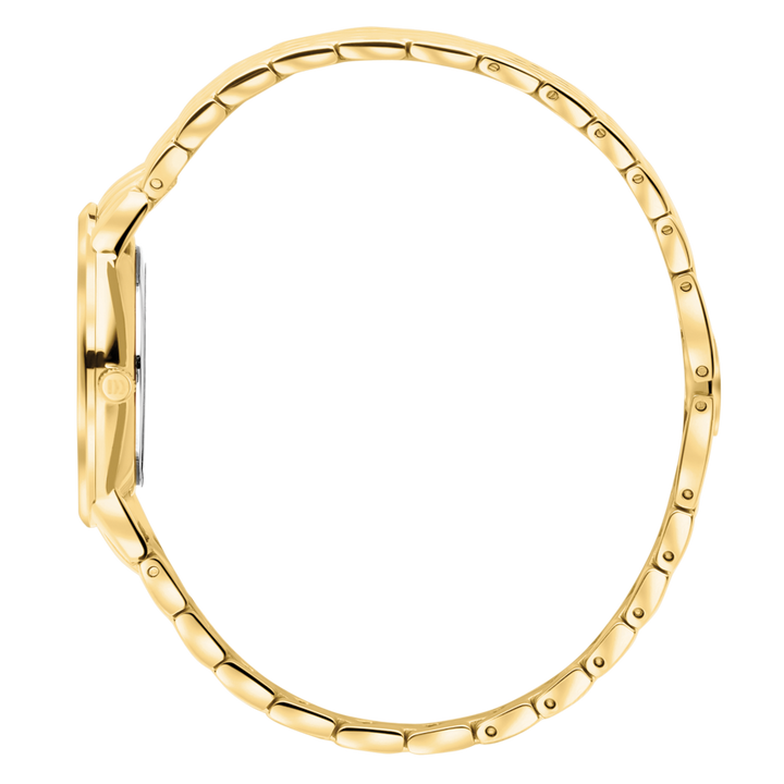 Danish Design IV77Q1251 Akilia Gold Husky Blue DressLink Medium Watch