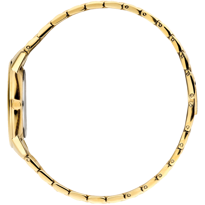 Danish Design IV99Q1251 Akilia Black Gold Link Medium Watch