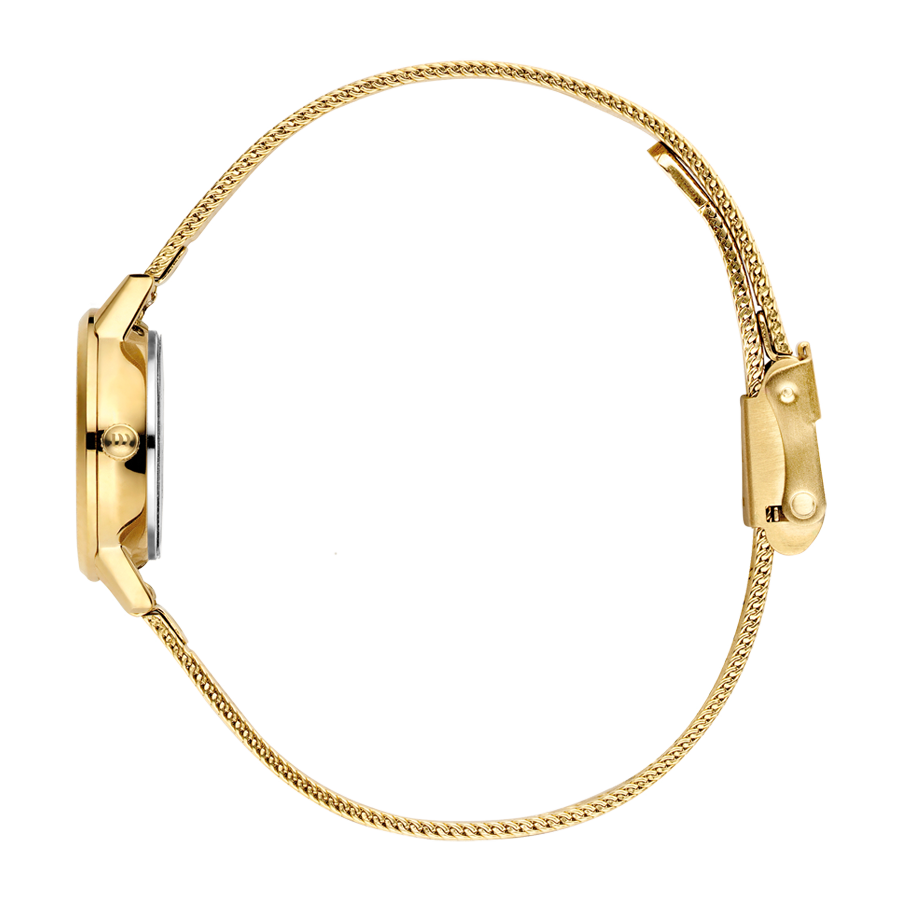 Danish Design IV03Q1268 Akilia Mini Gold Sage Green Watch