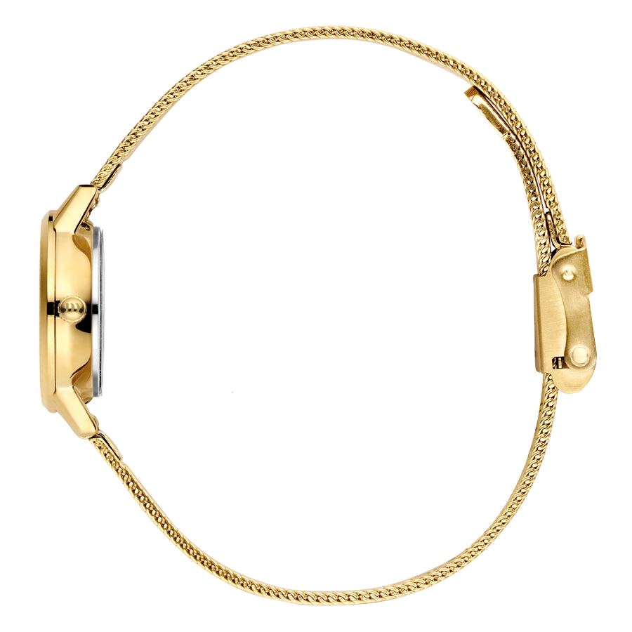 Danish Design IV04Q1268 Akilia Mini Gold Husky Hazel Watch