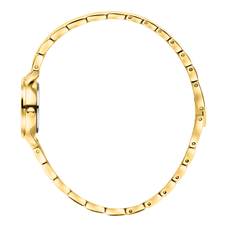 Danish Design IV71Q1268 Akilia Mini Gold Perlemor DressLink Watch