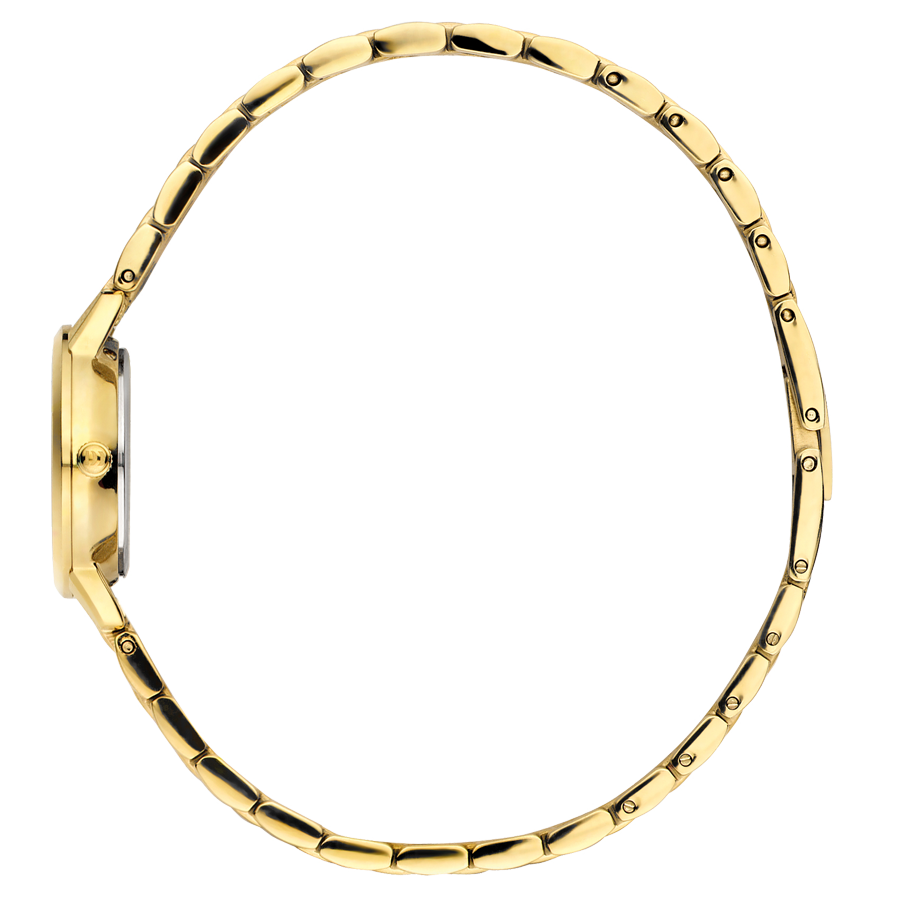 Danish Design IV83Q1268 Akilia Mini Link Gold Sage Green Watch