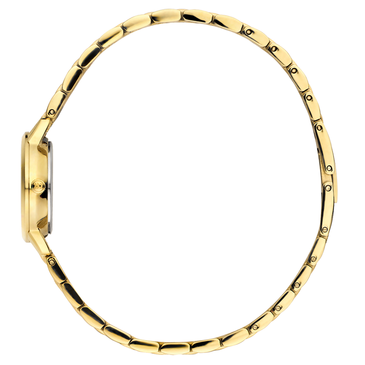 Danish Design IV83Q1268 Akilia Mini Link Gold Sage Green Watch