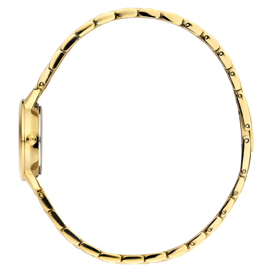 Danish Design IV84Q1268 Akilia Mini Link Gold Husky Hazel Watch