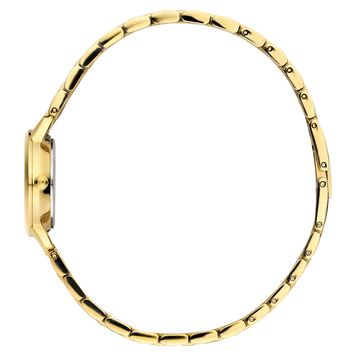 Danish Design IV84Q1268 Akilia Mini Link Gold Husky Hazel Watch