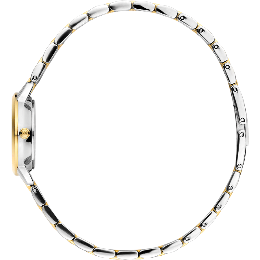 Danish Design IV90Q1268 Akilia Mini Link Two-Tone Gold Green Watch