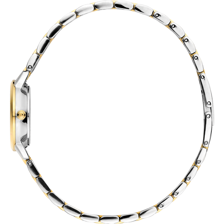 Danish Design IV90Q1268 Akilia Mini Link Two-Tone Gold Green Watch