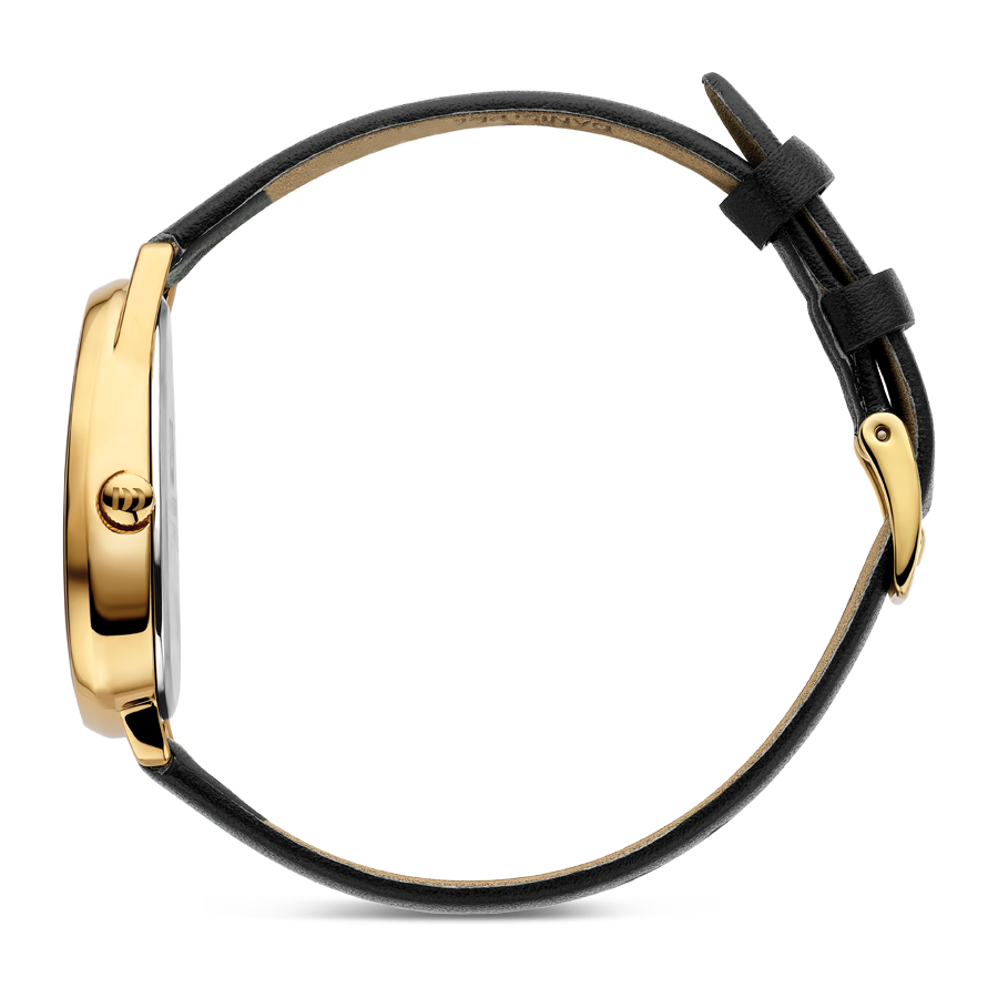 Danish Design IV15Q1306 Fjordsten Gold Black Watch