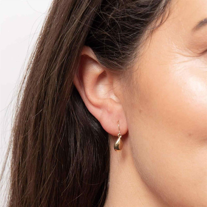 Elements Gold GE2217 Teardrop Earrings - H S Johnson