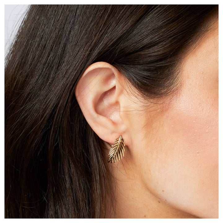 Laura Ashley E6607 Marlbrook Leaf Earrings Sterling Silver